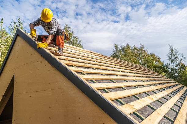 Best Roof Gutter Cleaning  in Nooksack, WA